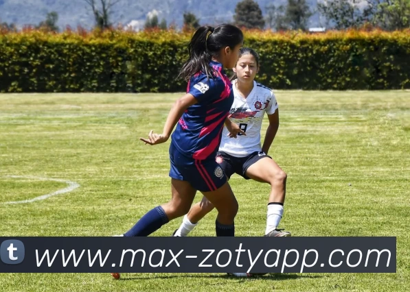 中欧体育品牌故事